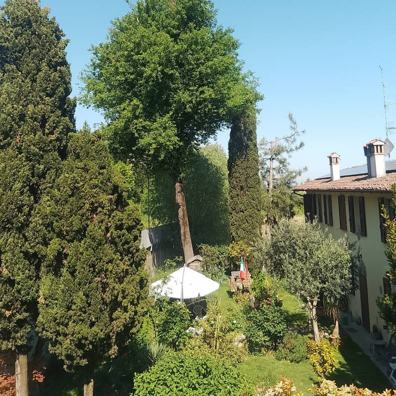 Fotosegnalazione di Anzola dell'emilia