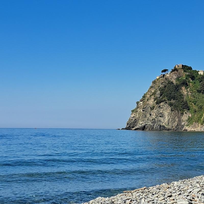 Fotosegnalazione di Manarola