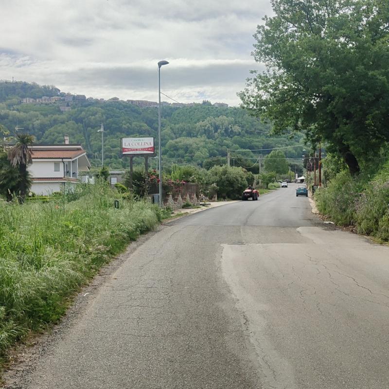 Fotosegnalazione di Francavilla angitola