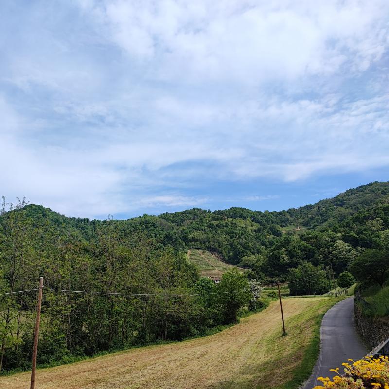 Fotosegnalazione di Villa d'adda
