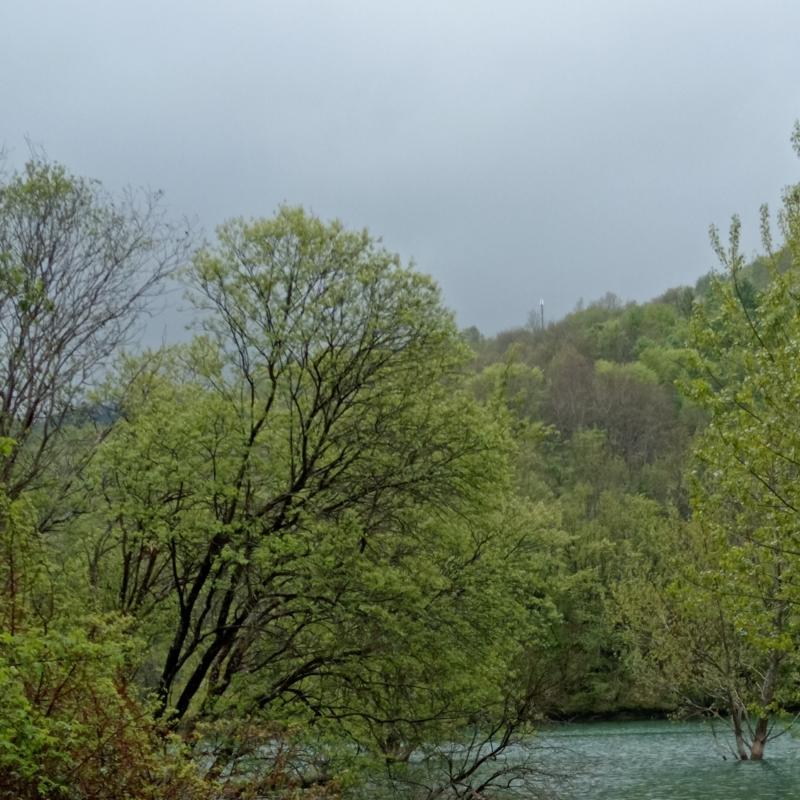 Fotosegnalazione di Propata