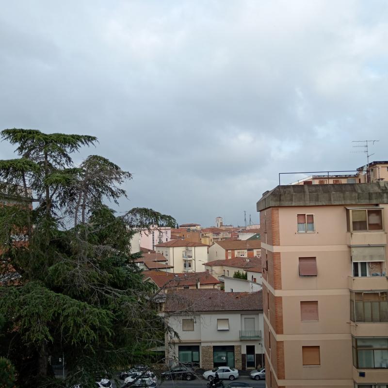 Fotosegnalazione di Grosseto centro urbano