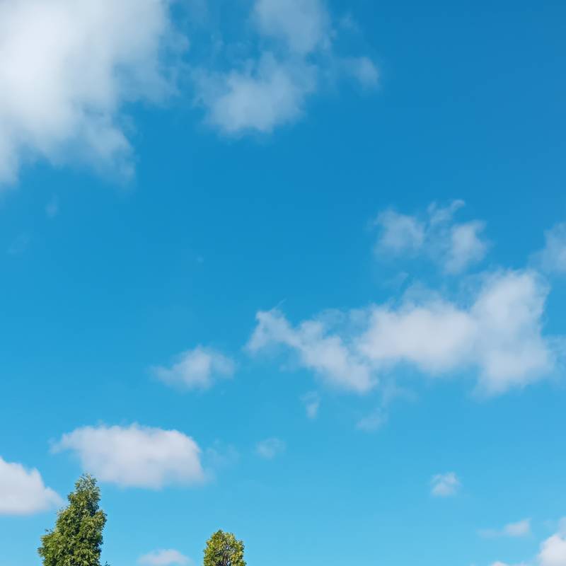 L'applicazione mi indica che c'e' nuvoloso ma il cielo e' sereno