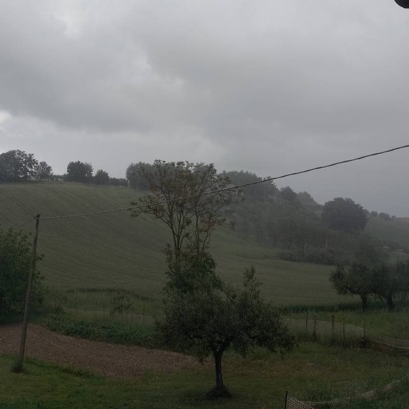 Fotosegnalazione di Cepagatti