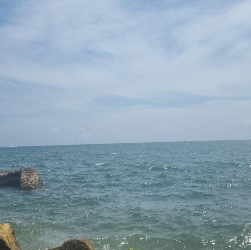 Fotosegnalazione di Sant adria' de beso's