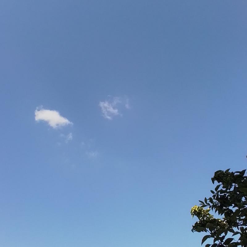 Fotosegnalazione di Pantigliate