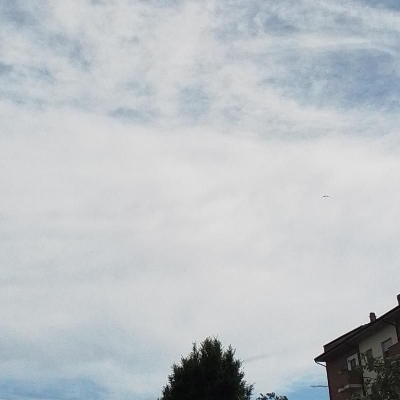 Fotosegnalazione di Mediglia