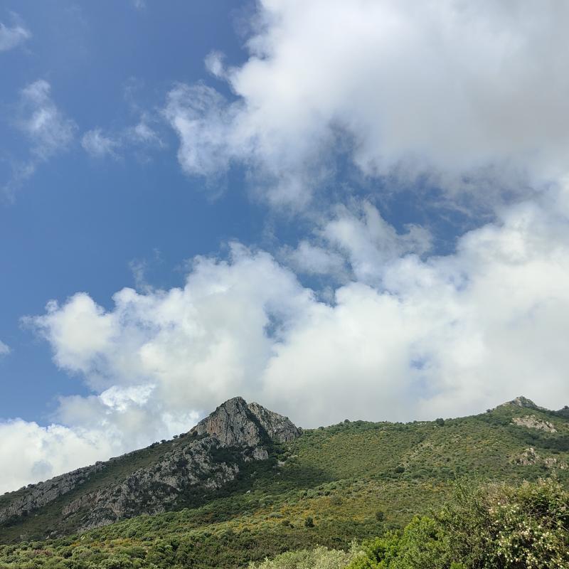 Fotosegnalazione di Termini imerese