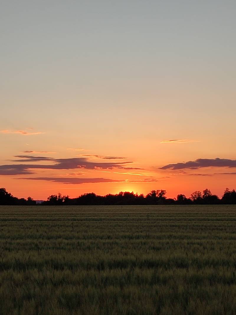 rosso di sera bel tempo si spera