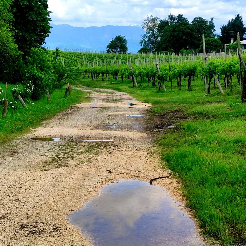 fra cielo e terra. i miei attimi speciali. adry