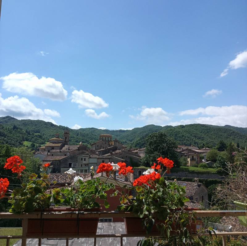 Fotosegnalazione di Mercatello sul metauro