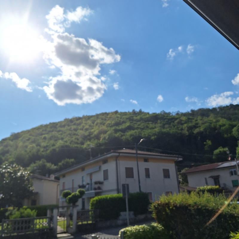 Fotosegnalazione di Monticelli brusati