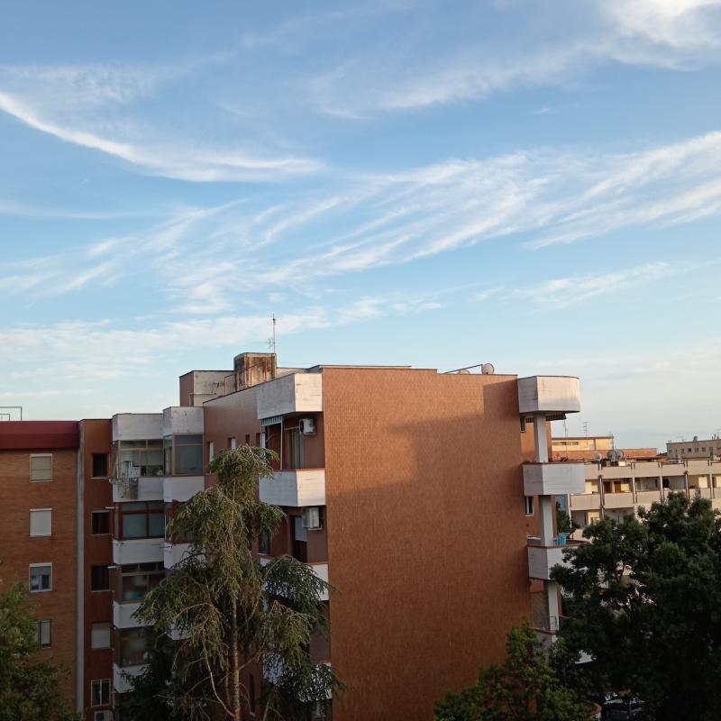 Fotosegnalazione di Grosseto centro urbano