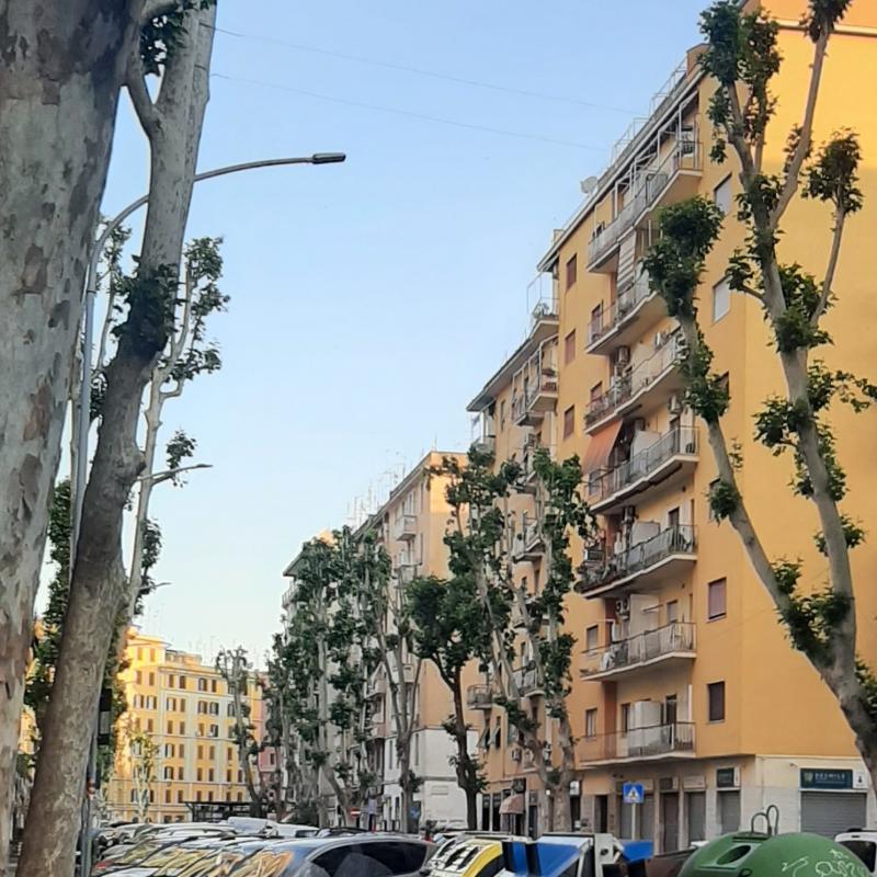 Fotosegnalazione di Roma tiburtino