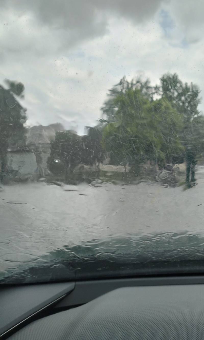 possibile pioggia sta diluviando