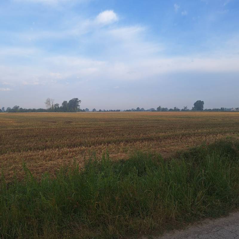 Fotosegnalazione di Torre de' picenardi