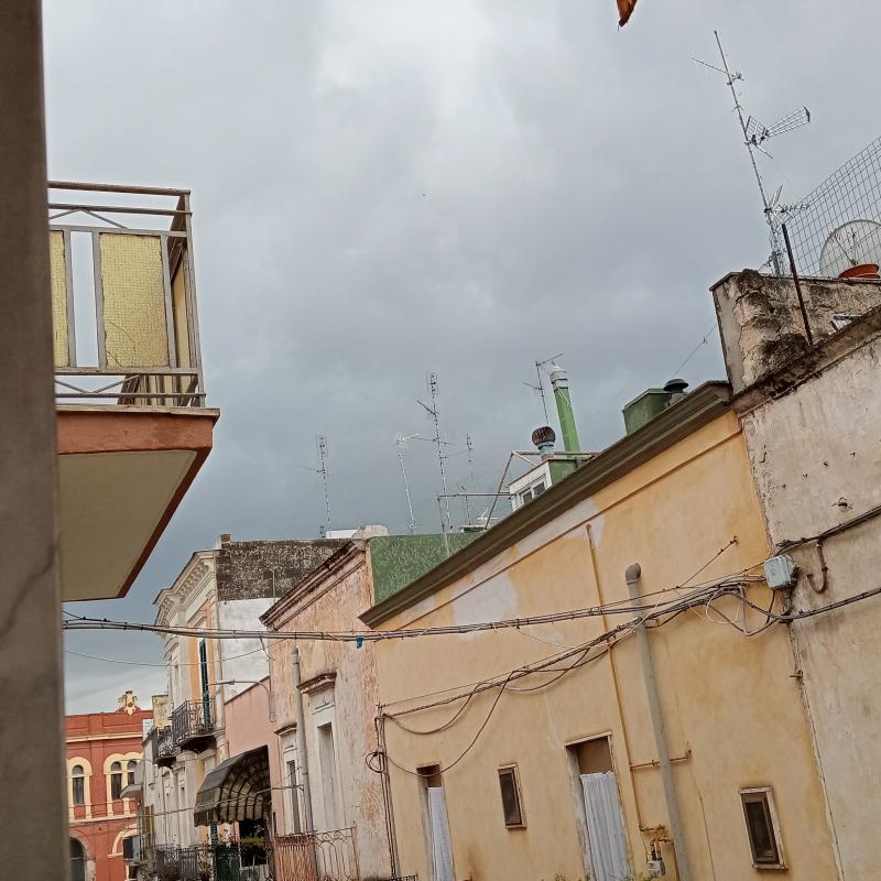 Fotosegnalazione di Carbonara di bari