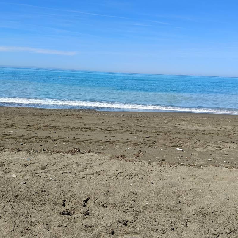 Fotosegnalazione di Marina di bibbona