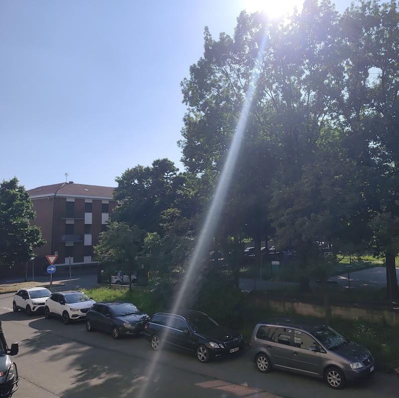 Fotosegnalazione di Torino mirafiori sud