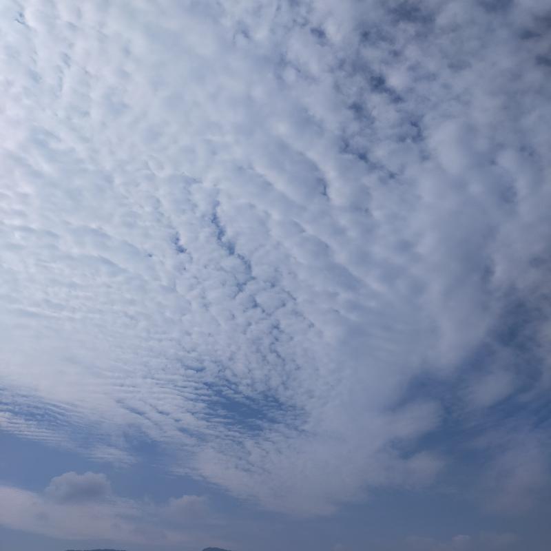Fotosegnalazione di Praso