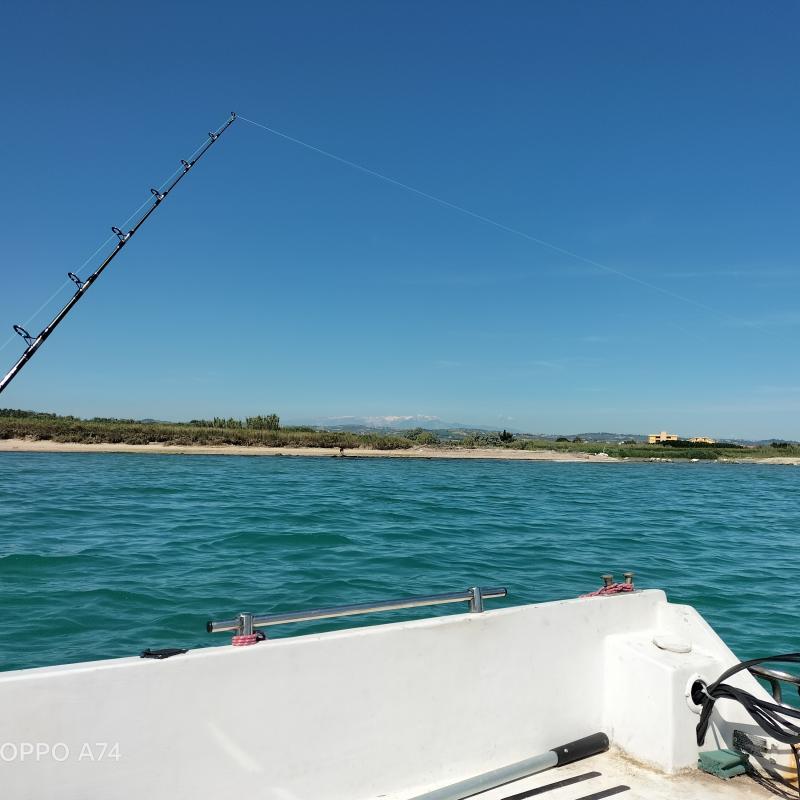 Fotosegnalazione di Vasto