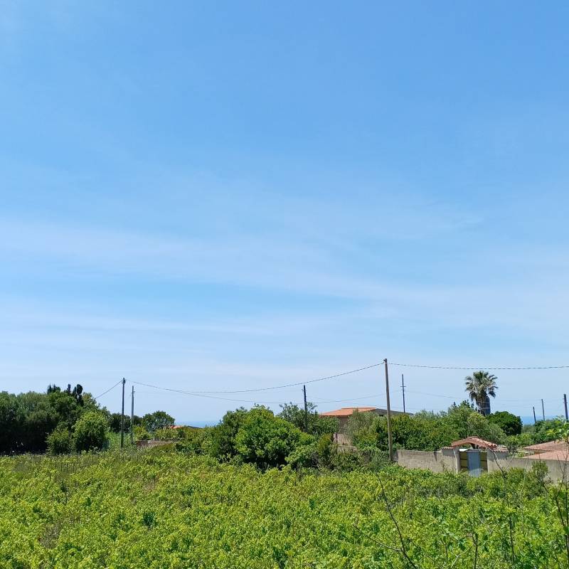 Fotosegnalazione di Magomadas