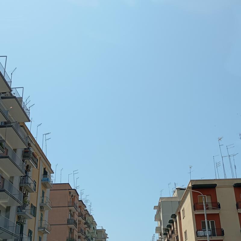 Fotosegnalazione di Taranto montegranaro - salinella