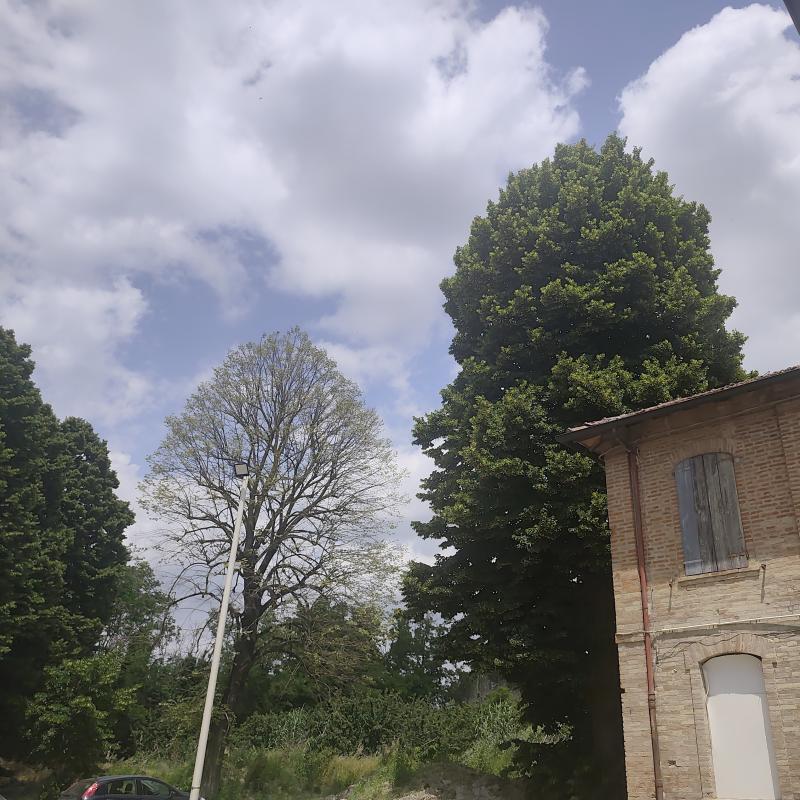 Fotosegnalazione di Faenza