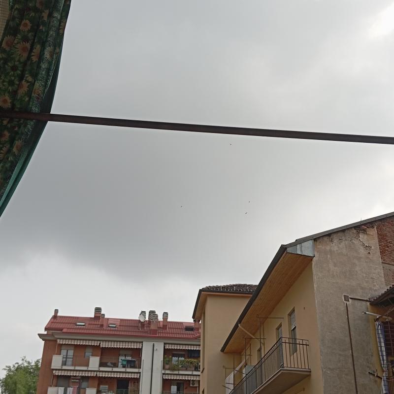 Fotosegnalazione di Torino aurora - vanchiglia