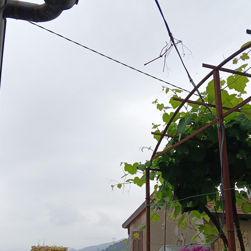Fotosegnalazione di Massa periferia - alpi apuane