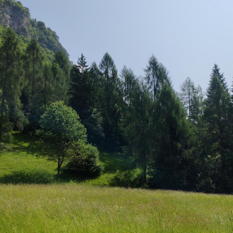 Fotosegnalazione di Forni di sotto
