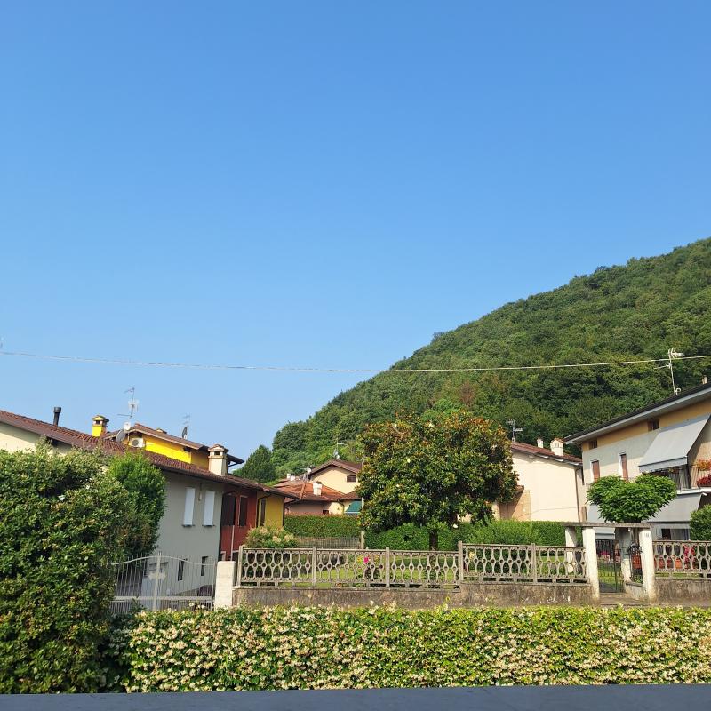 Fotosegnalazione di Monticelli brusati