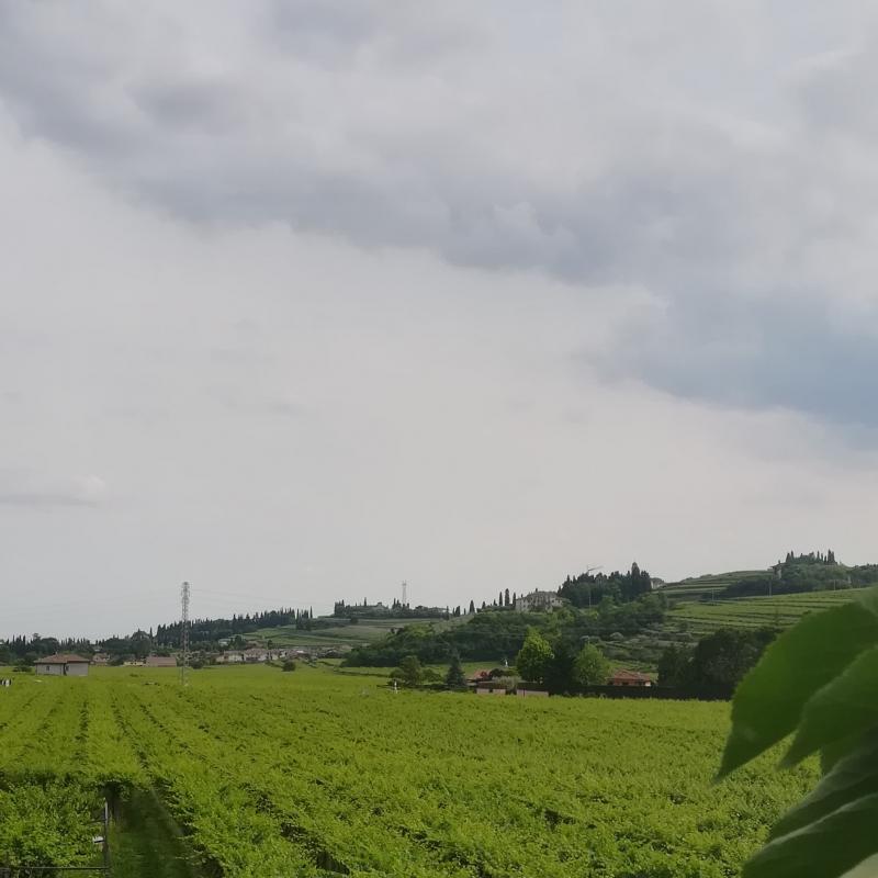 veduta dallo scaglione