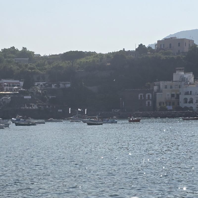 Baia di cartaromana Ischia ponte na