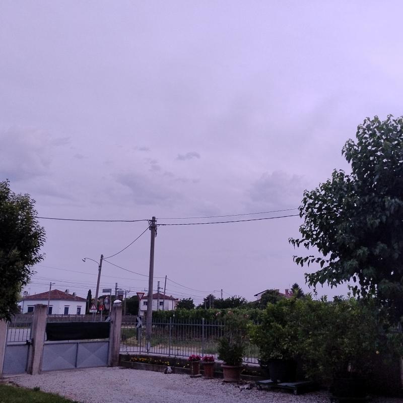 Fotosegnalazione di Gorizia lucinico