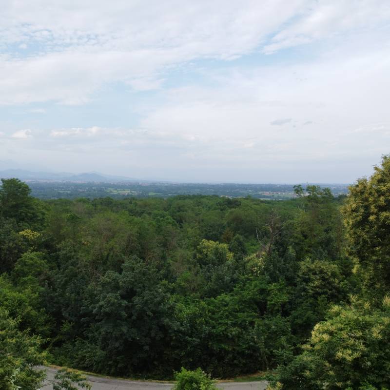 Fotosegnalazione di Zubiena