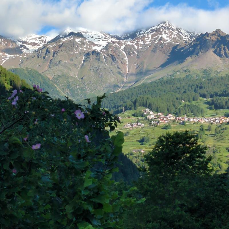 Dalla stradina che porta da Cogolo a celledizzo