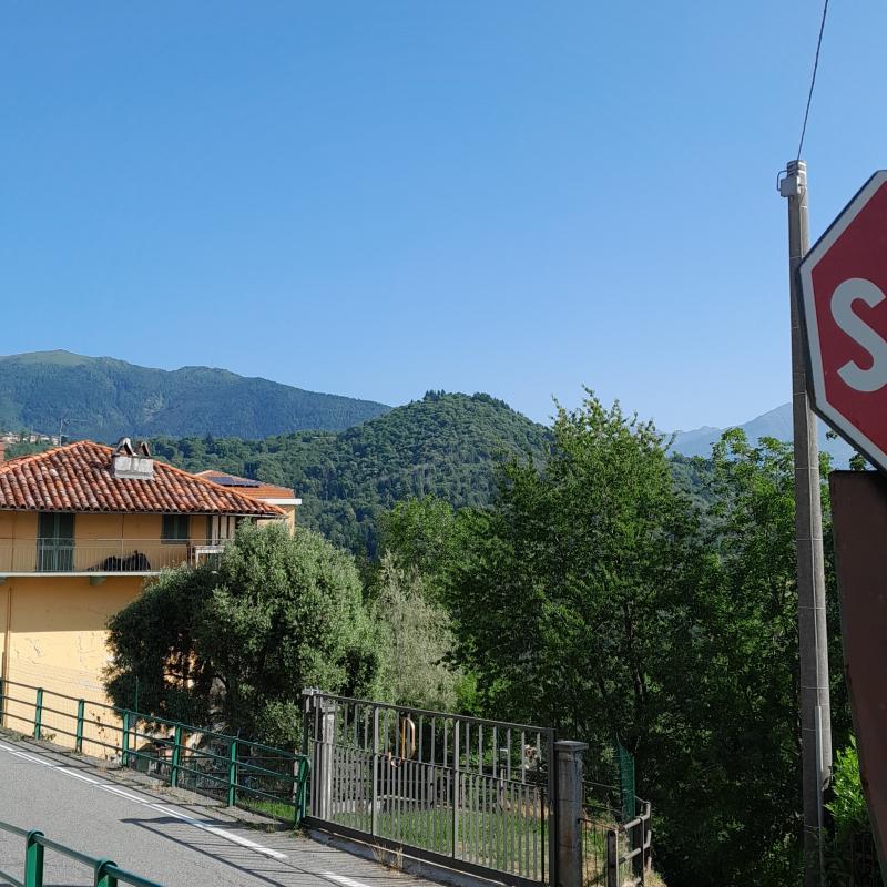 Fotosegnalazione di Pratiglione