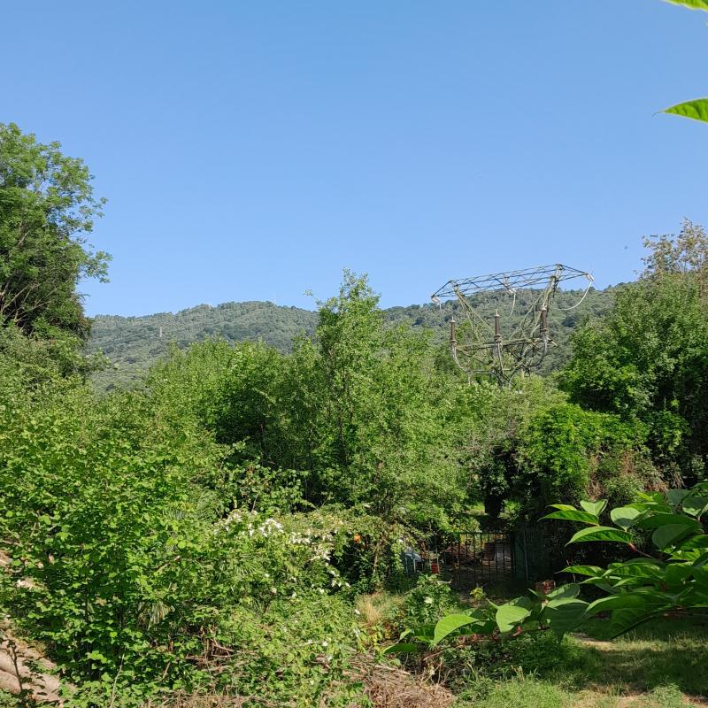 Fotosegnalazione di Forno canavese