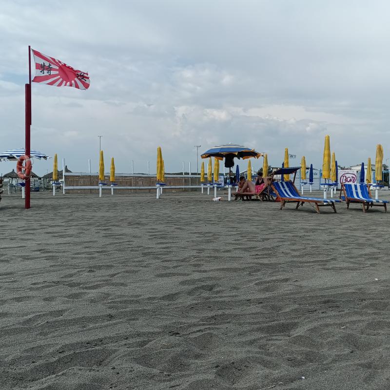 Fotosegnalazione di Fiumicino