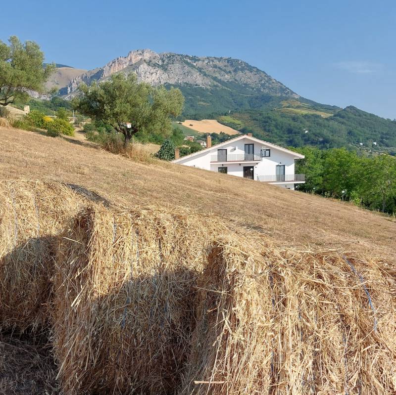 Fotosegnalazione di Carpineto della nora