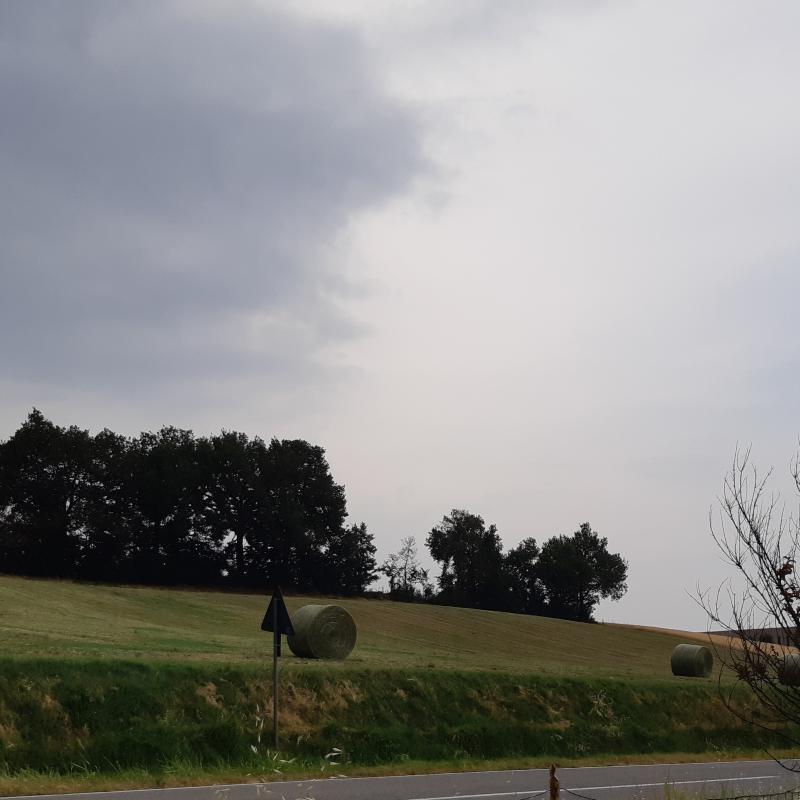 Fotosegnalazione di Alseno