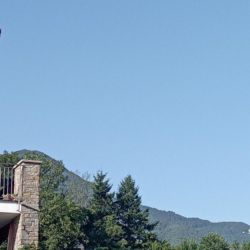 Fotosegnalazione di Colico