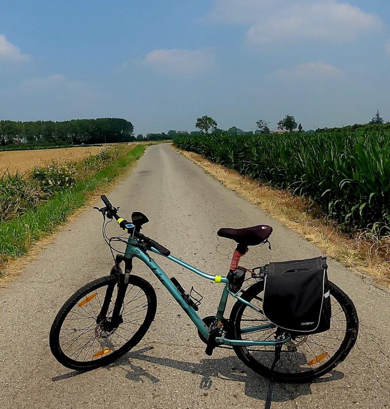 si pedala tra il mais ed il grano