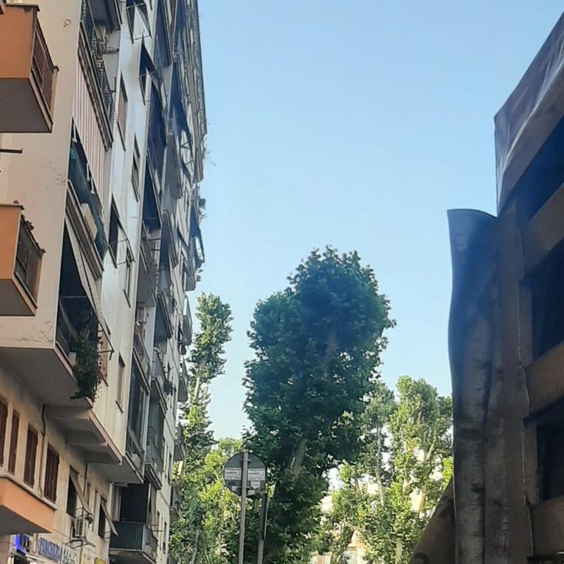 Fotosegnalazione di Roma tiburtino