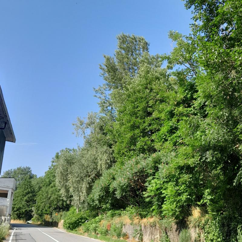 Fotosegnalazione di Forno canavese