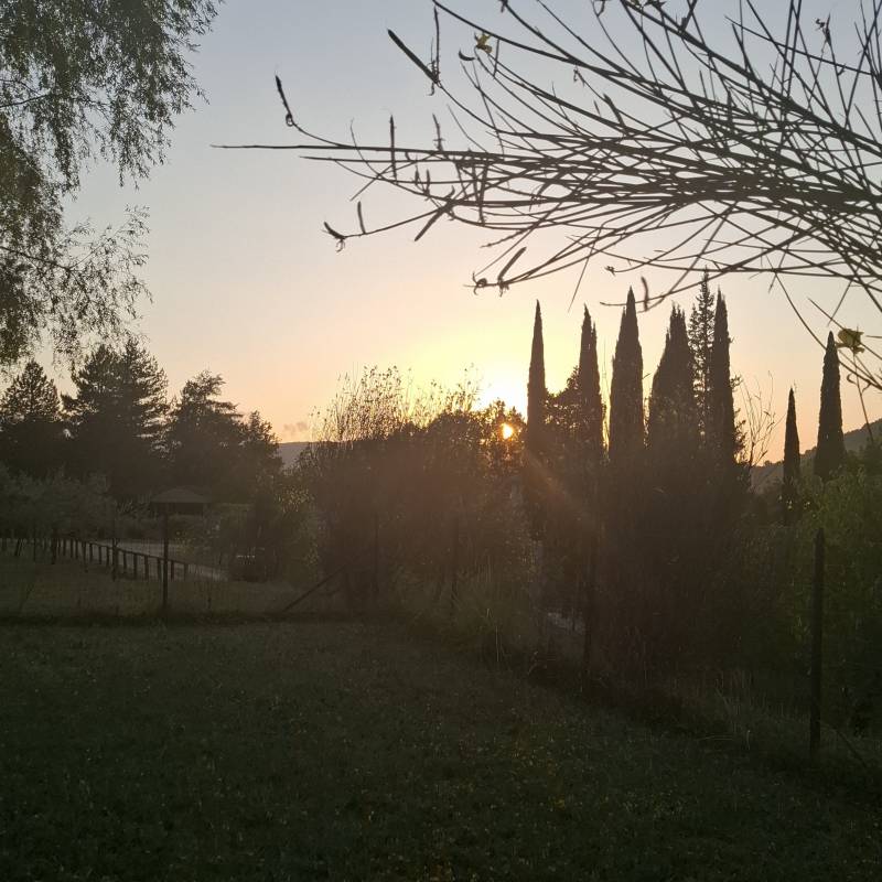 Fotosegnalazione di Chiusi della verna