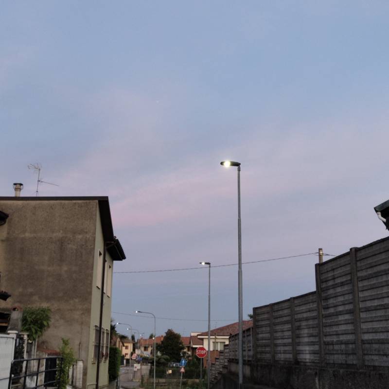 Fotosegnalazione di Trezzano rosa