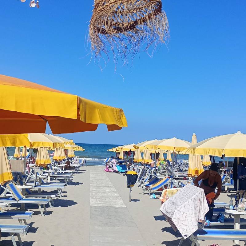 Fotosegnalazione di Tagliata