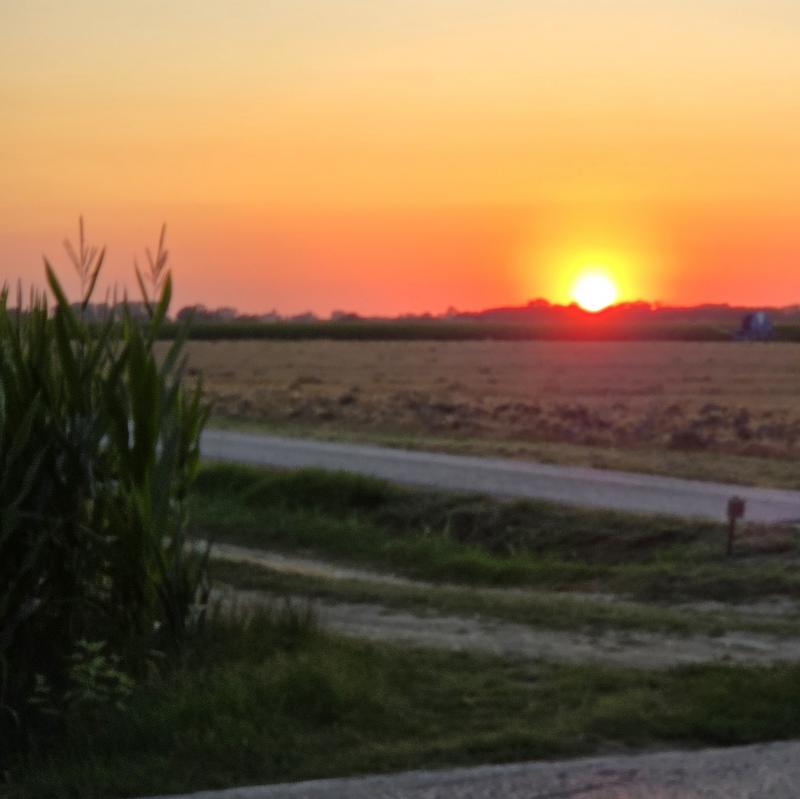 Fotosegnalazione di Ferrara nord-ovest